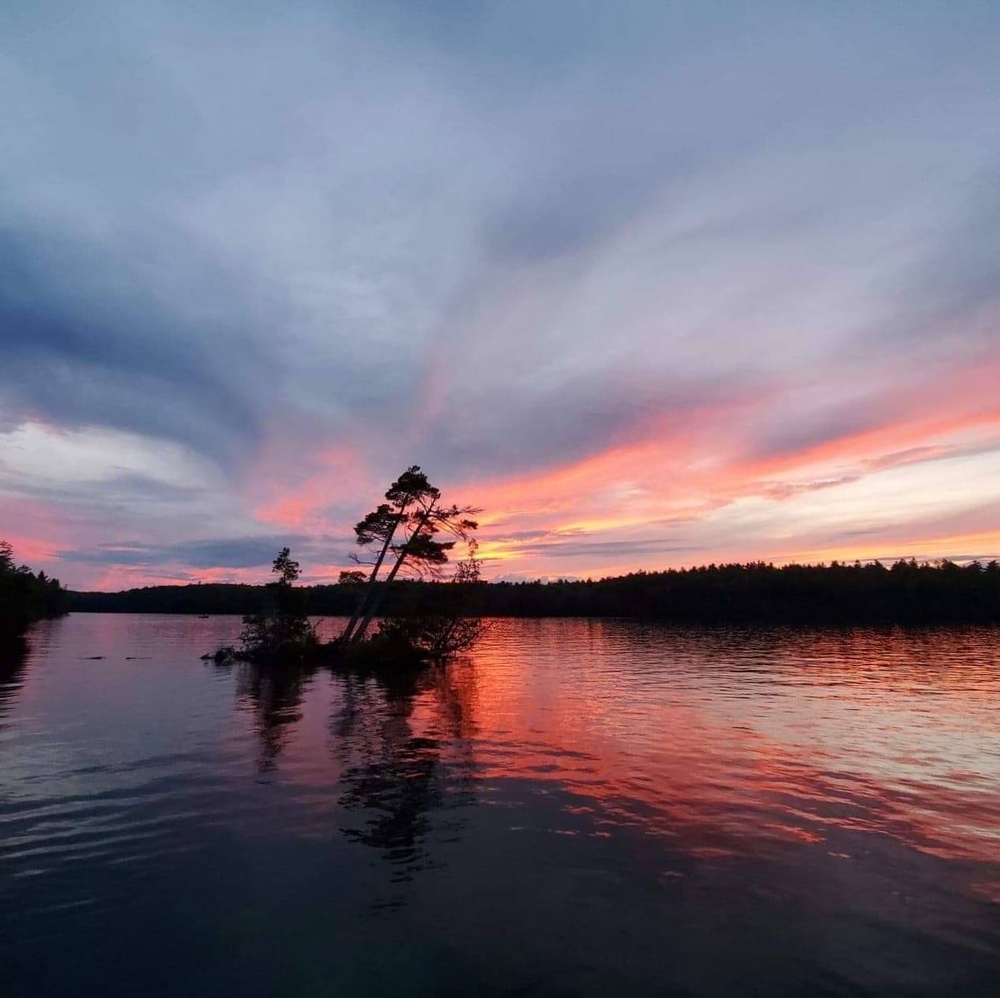 Meet your Posher, Ann
